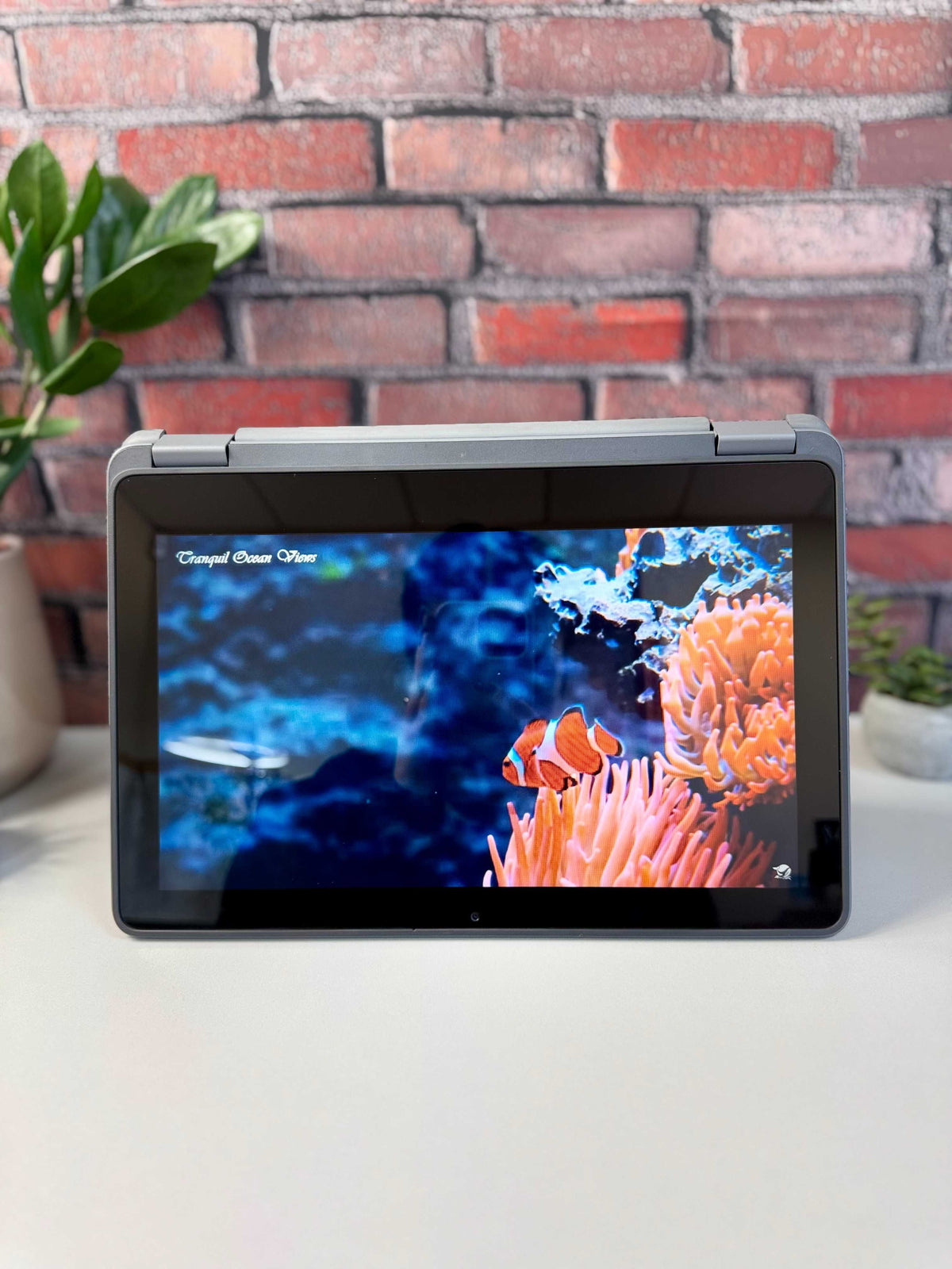 Dell Latitude 3120
