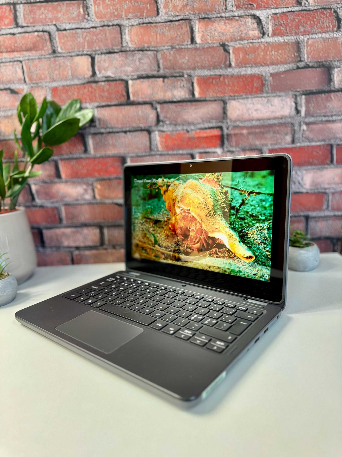 Dell Latitude 3120