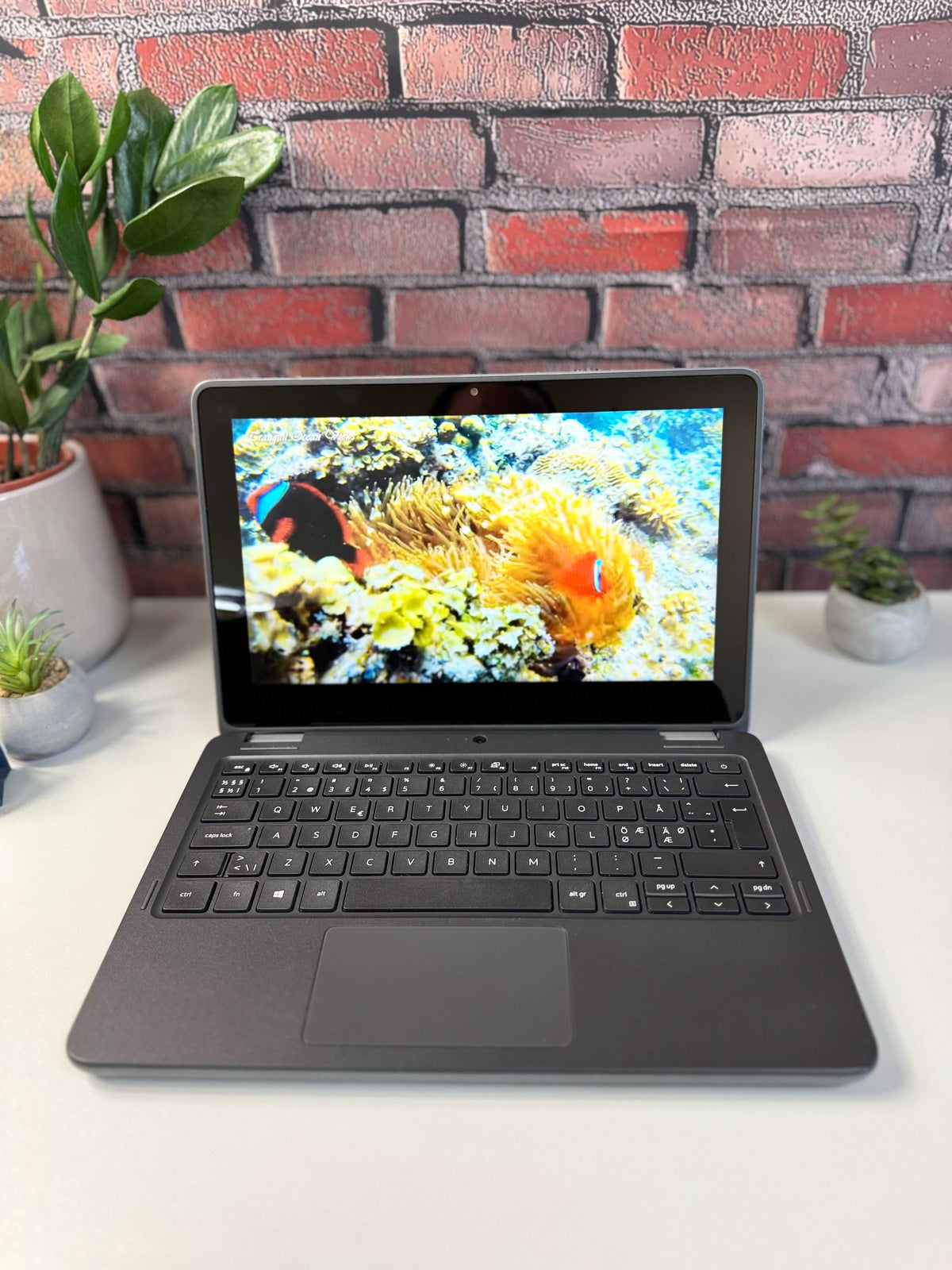 Dell Latitude 3120